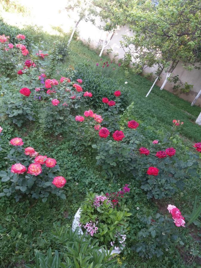 Albergue Shymhostle Shymkent Exterior foto
